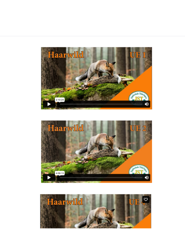 Zugang zur internen MOODLE-Lernplattform der JST