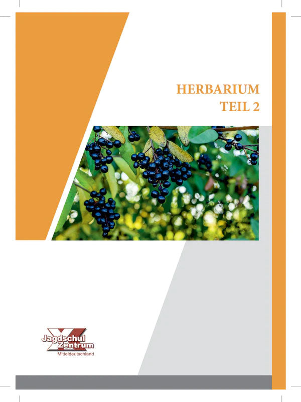 Herbarium Teil 2